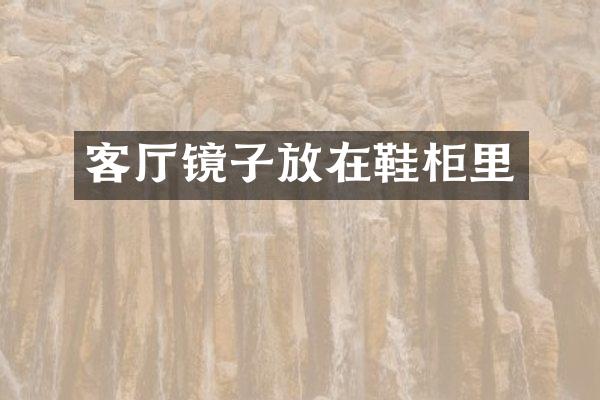 客厅镜子放在鞋柜里