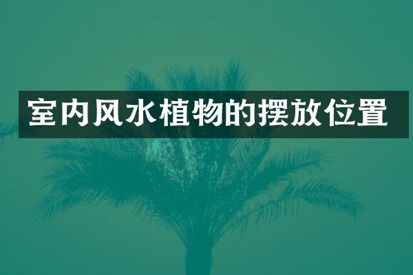 室内风水植物的摆放位置