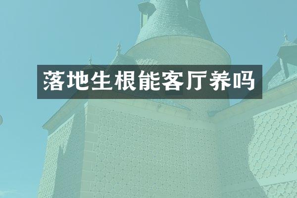 落地生根能客厅养吗