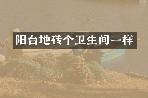 阳台地砖个卫生间一样