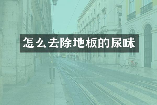 怎么去除地板的尿味