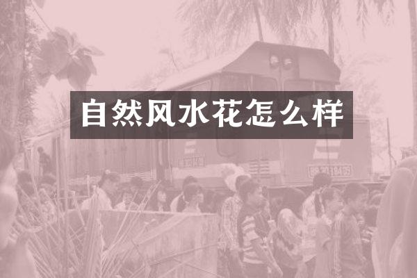 自然风水花怎么样