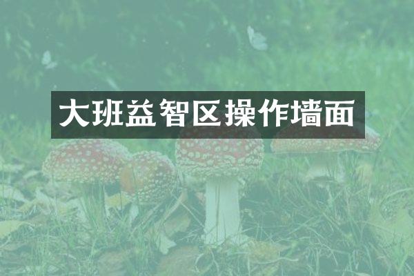 大班益智区操作墙面