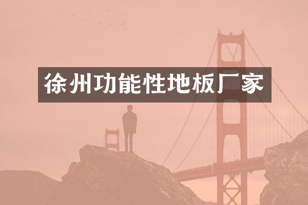 徐州功能性地板厂家