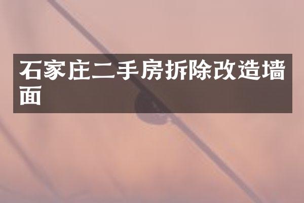 石家庄二手房拆除改造墙面