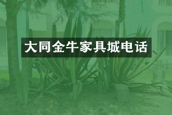 大同金牛家具城电话