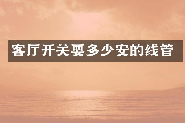 客厅开关要多少安的线管