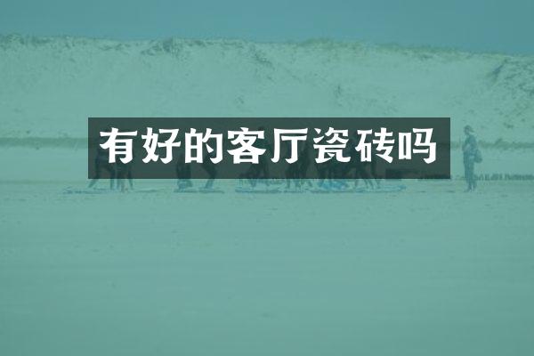 有好的客厅瓷砖吗