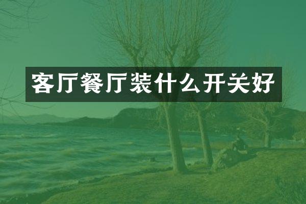 客厅餐厅装什么开关好