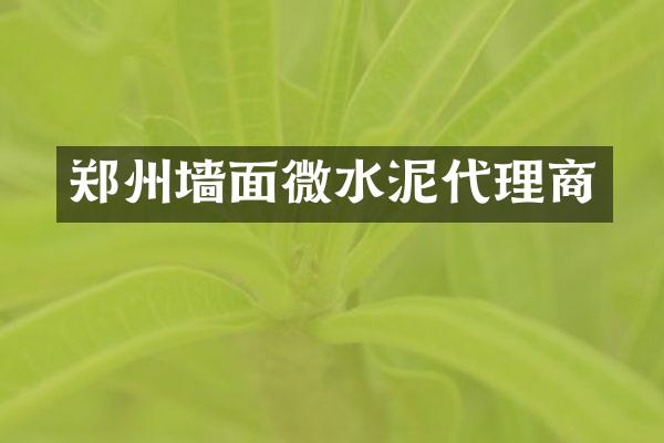 郑州墙面微水泥代理商