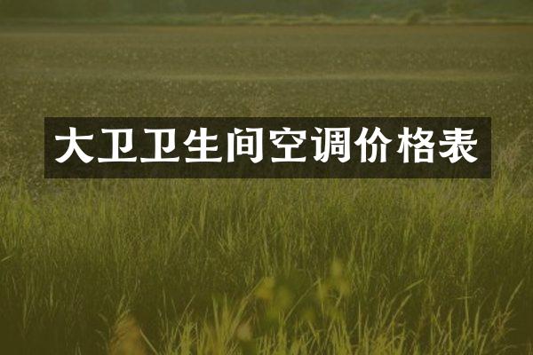 大卫卫生间空调价格表