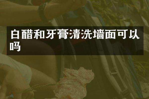 白醋和牙膏清洗墙面可以吗