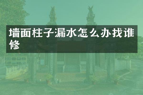 墙面柱子漏水怎么办找谁修