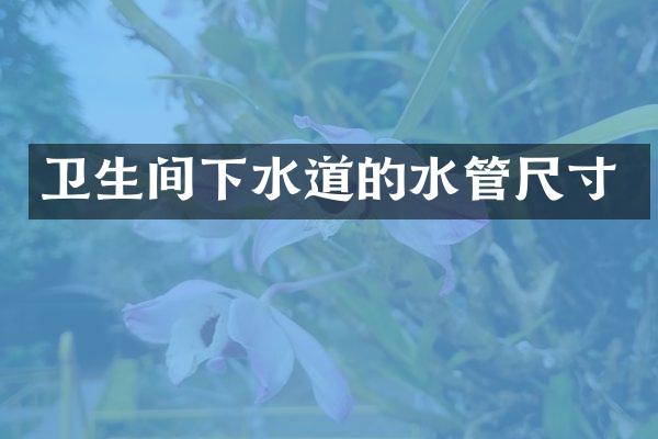 卫生间下水道的水管尺寸