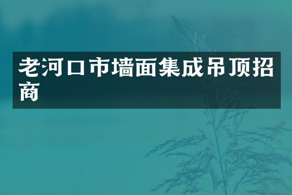 老河口市墙面集成吊顶招商