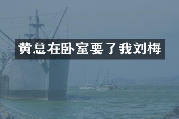 黄总在卧室要了我刘梅