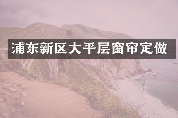 浦东新区大平层窗帘定做