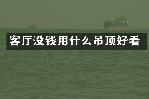 客厅没钱用什么吊顶好看