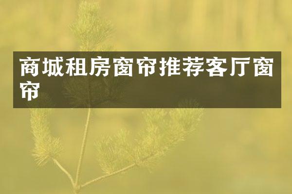 商城租房窗帘推荐客厅窗帘