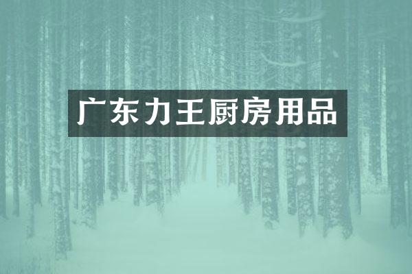 广东力王厨房用品
