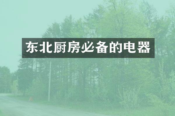 东北厨房必备的电器