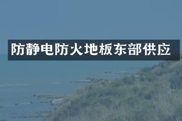 防静电防火地板东部供应