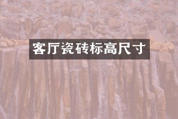 客厅瓷砖标高尺寸