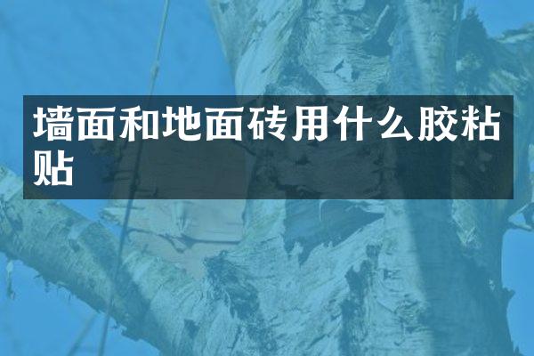 墙面和地面砖用什么胶粘贴