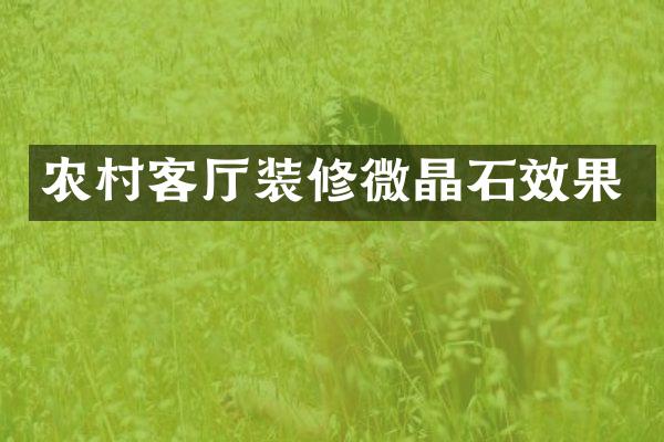 农村客厅装修微晶石效果