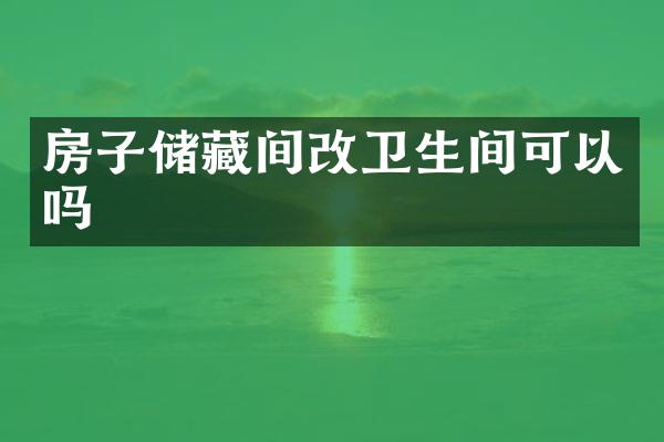 房子储藏间改卫生间可以吗