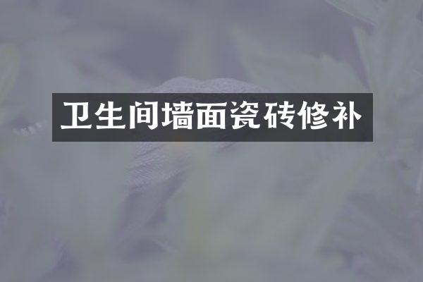 卫生间墙面瓷砖修补
