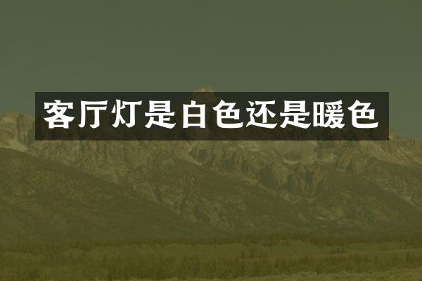 客厅灯是白色还是暖色