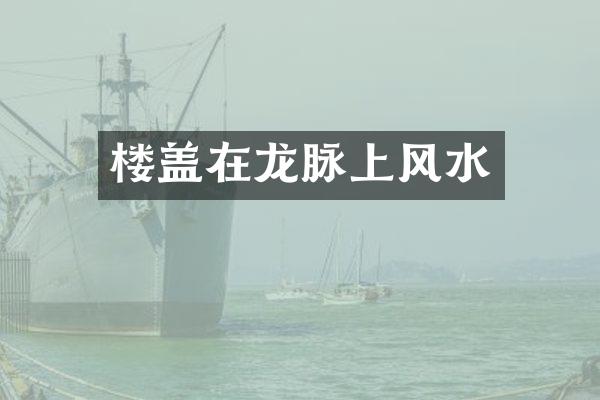 楼盖在龙脉上风水