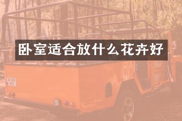 卧室适合放什么花卉好