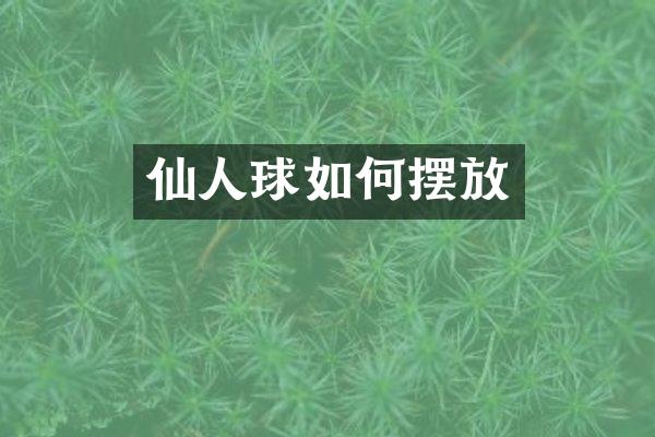 仙人球如何摆放