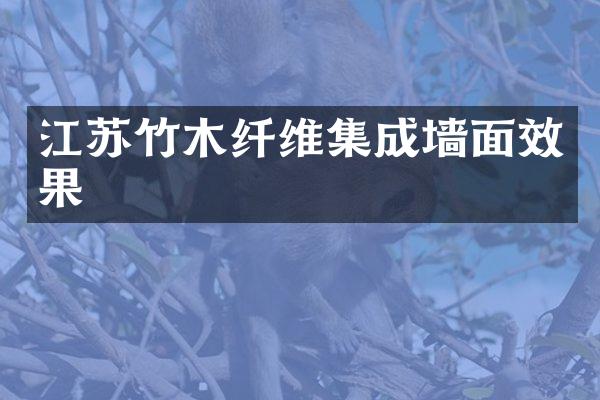江苏竹木纤维集成墙面效果