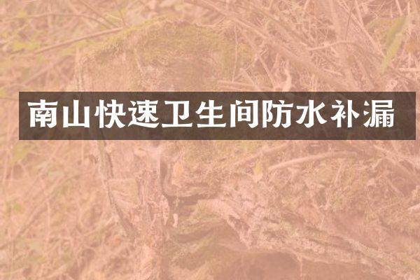 南山快速卫生间防水补漏