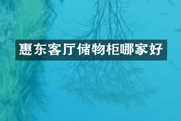 惠东客厅储物柜哪家好