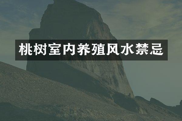 桃树室内养殖风水禁忌
