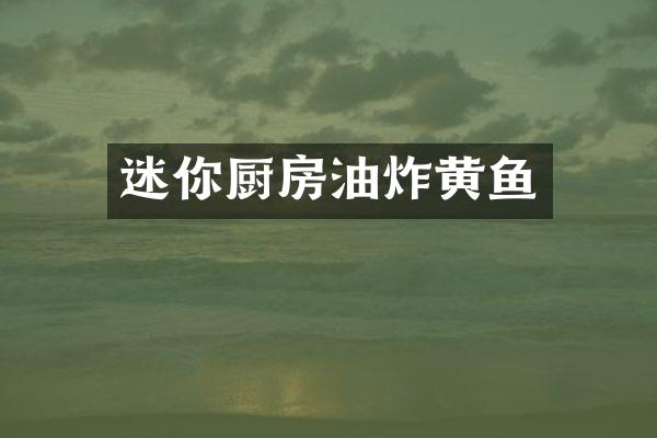迷你厨房油炸黄鱼