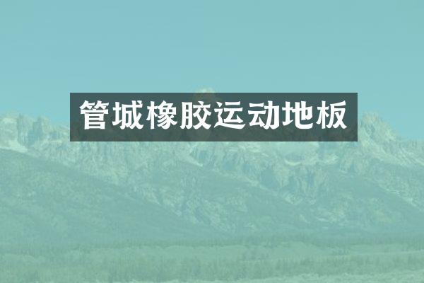 管城橡胶运动地板