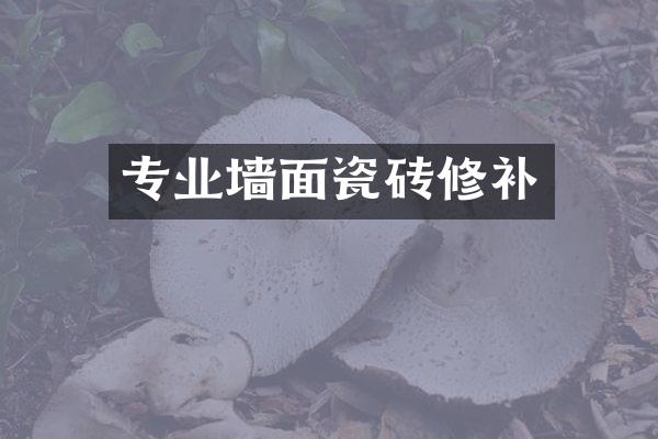 专业墙面瓷砖修补