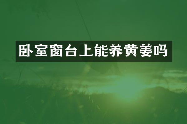 卧室窗台上能养黄姜吗