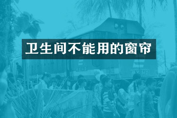卫生间不能用的窗帘