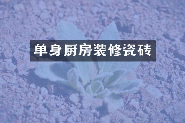 单身厨房装修瓷砖