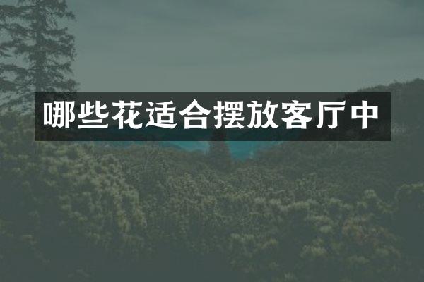 哪些花适合摆放客厅中