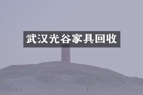 武汉光谷家具回收