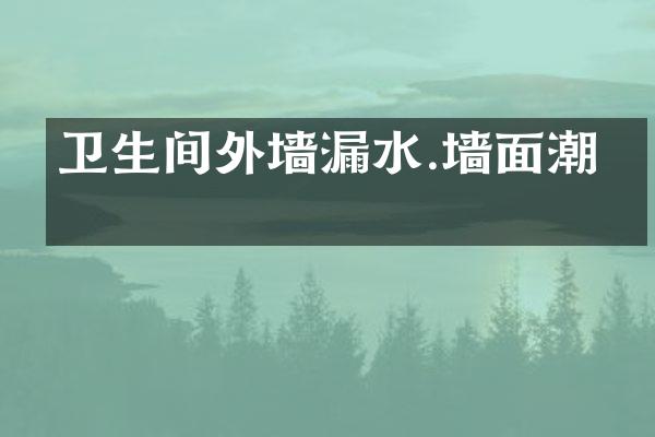 卫生间外墙漏水.墙面潮湿