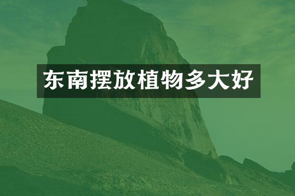 东南摆放植物多大好