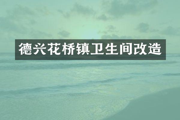 德兴花桥镇卫生间改造
